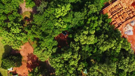 Top-down-aerial-of-beautiful-green-trees-on-a-sunny-summer-day-in-Abuja,-Nigeria