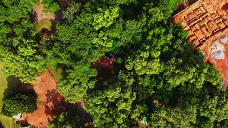 una vista aérea de los hermosos árboles verdes en un soleado día de verano en abuja, nigeria