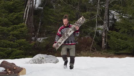 man carrying birch tree trunk for firewood