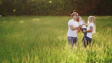 Family-Walking-In-Field-Carrying-Young-Baby-Son