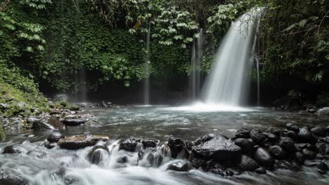 beautiful waterfall in a lush tropical forest