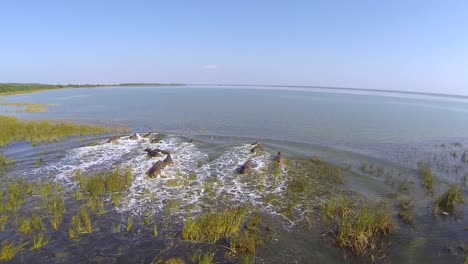 Reserva-De-Caza-De-Santa-Lucía,-Parque-De-Humedales-Isimangaliso