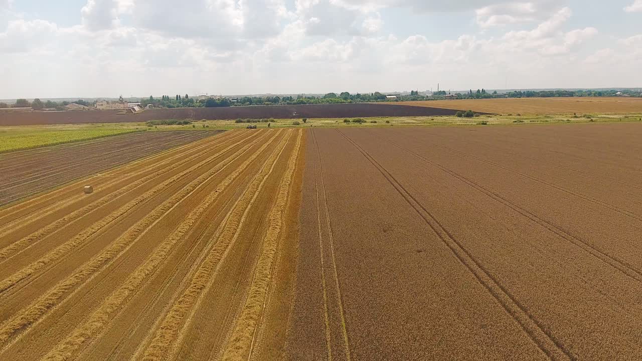 4K aerial view of combine harvesters harvesting wheat