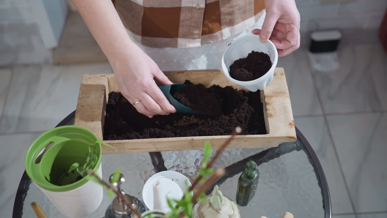 High angle view of hands filling plastic planter with rich dark potting soil from wooden crate on glass table surrounded by potted plants tools cozy home gardening prep under soft natural light