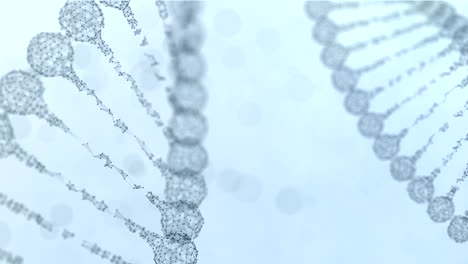 two rotating plexus dna chains - light blue version