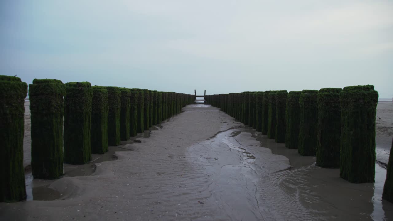 Flying look between paleheads on the beach in Zeeland, Netherlands, Holland, 4K, UHD.
