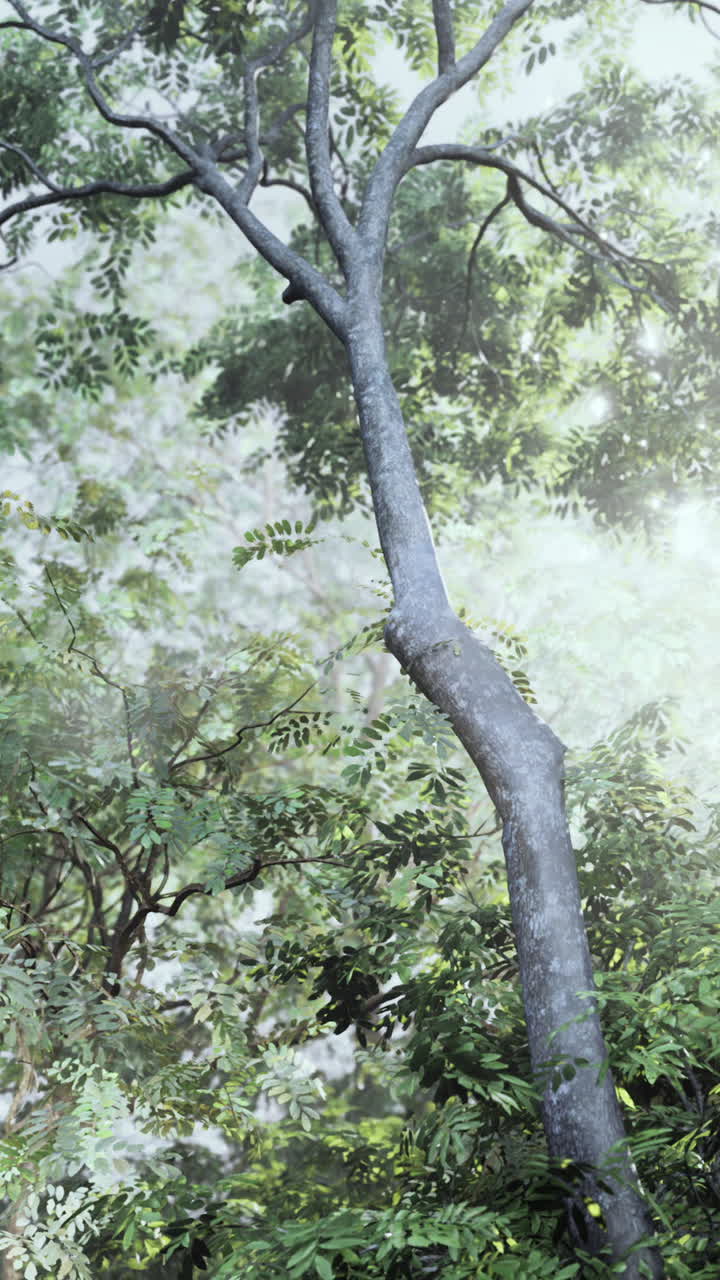 Painting of forest with trees and bushes
