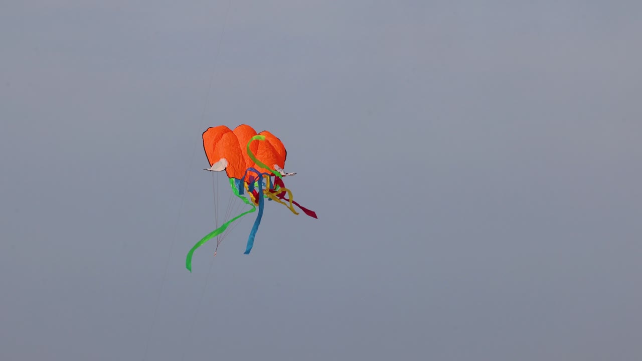 una cometa vibrante se eleva y baila en la brisa.