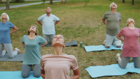 female instructor and senior people practicing yoga outdoors