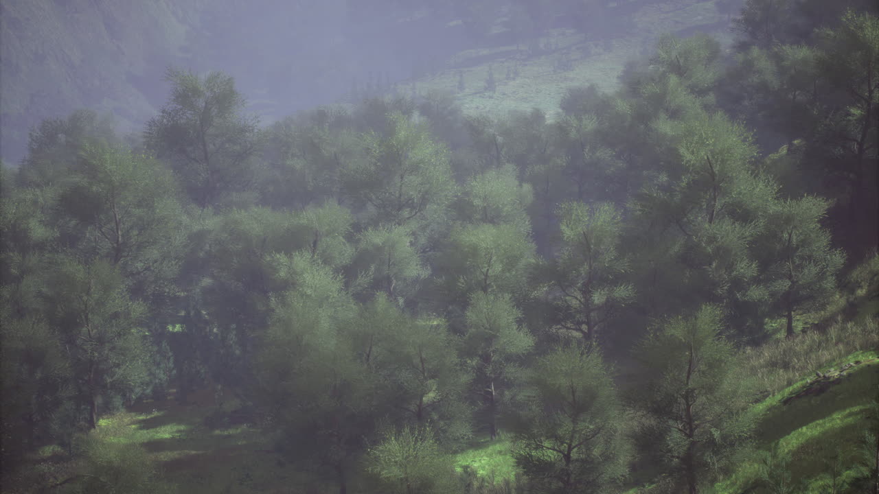 Lush greenery envelops a serene valley under gentle morning sunlight