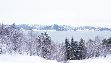 panoramic view of snow covered trees with the lake and mountains in the background in indre fosen norway - backward panning aerial shot