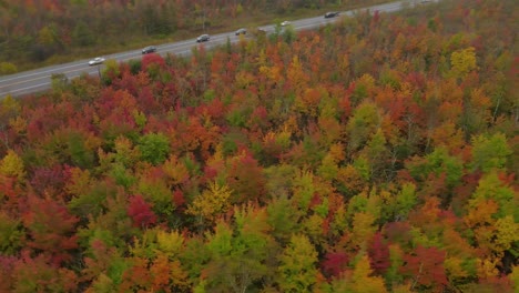 cars driving in a freeway between an autumnal forest at white mountains, usa