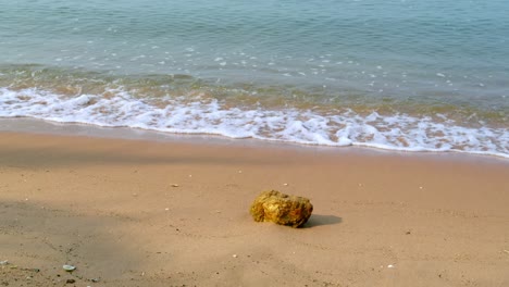a solitary stone a serene beach capturing the tranquility of nature's beauty by the gentle waves.
