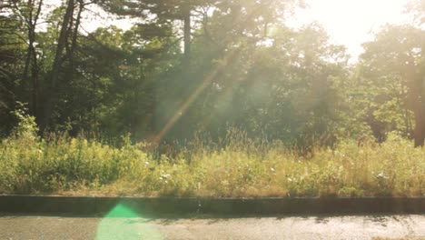 gorgeous young female is riding a bike on a beautiful sunny day with lens flare