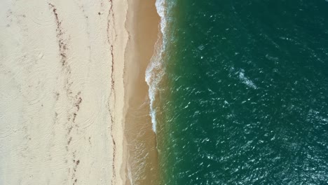 Ojo-De-Pájaro-Vertical-Toma-Aérea-De-Drones-Del-Río-Grande-Del-Norte-Tropical,-Costa-De-Brasil-Con-Arena-Dorada,-Agua-Turquesa-Clara-Y-Pequeñas-Olas-Tranquilas-Entre-Baia-Formosa-Y-Barra-De-Cunha?