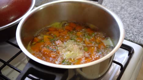 cooking and stirring vegetable soup on the casserole. - close up