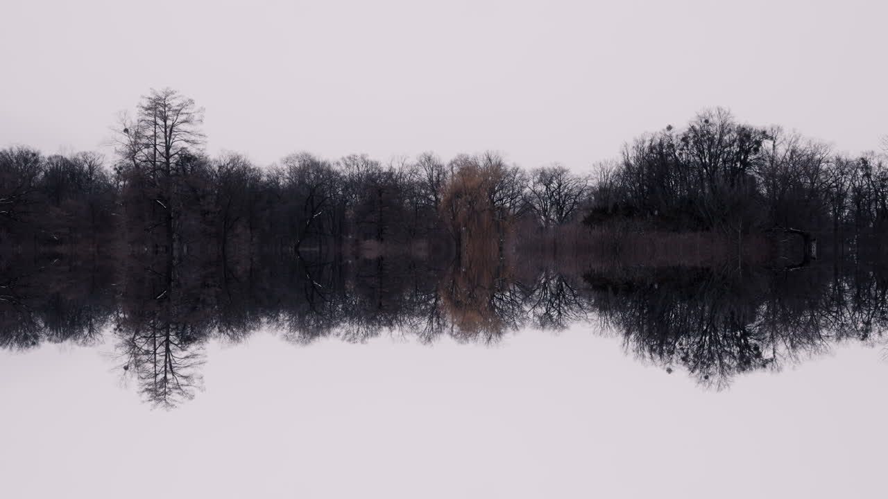 Paysage forestier reflété.