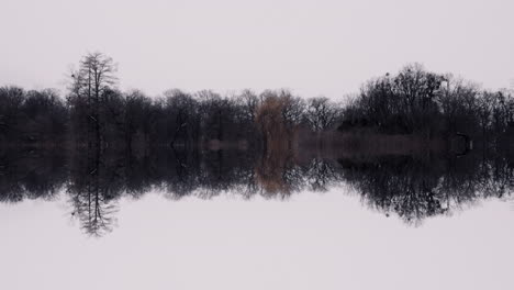 reflected forest landscape