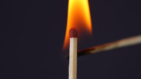 hand igniting matches close up macro shot captured in front of black background in slow motion at 120 fps