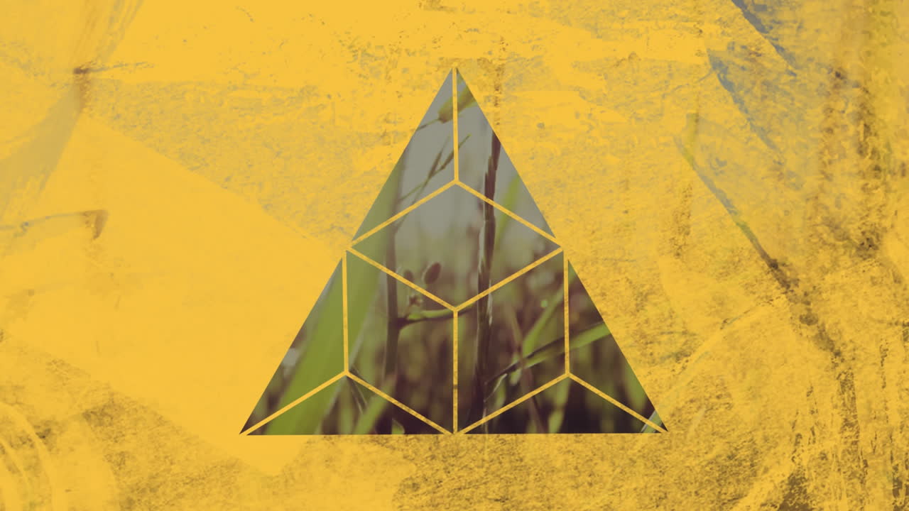 앞면 에 노란색 삼각형 을 통해 볼 수 있는 높은 잔디 들