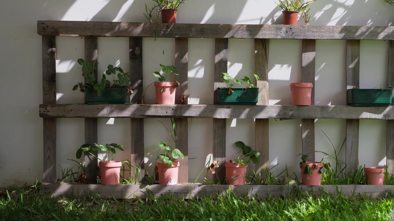 Vasi in terracotta e fioriere verdi su una mensola di pallet in legno contro una parete bianca illuminata dal sole.
