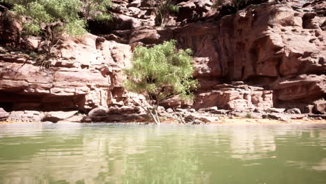 a scenic view of a river flowing through a canyon with cliffs and trees