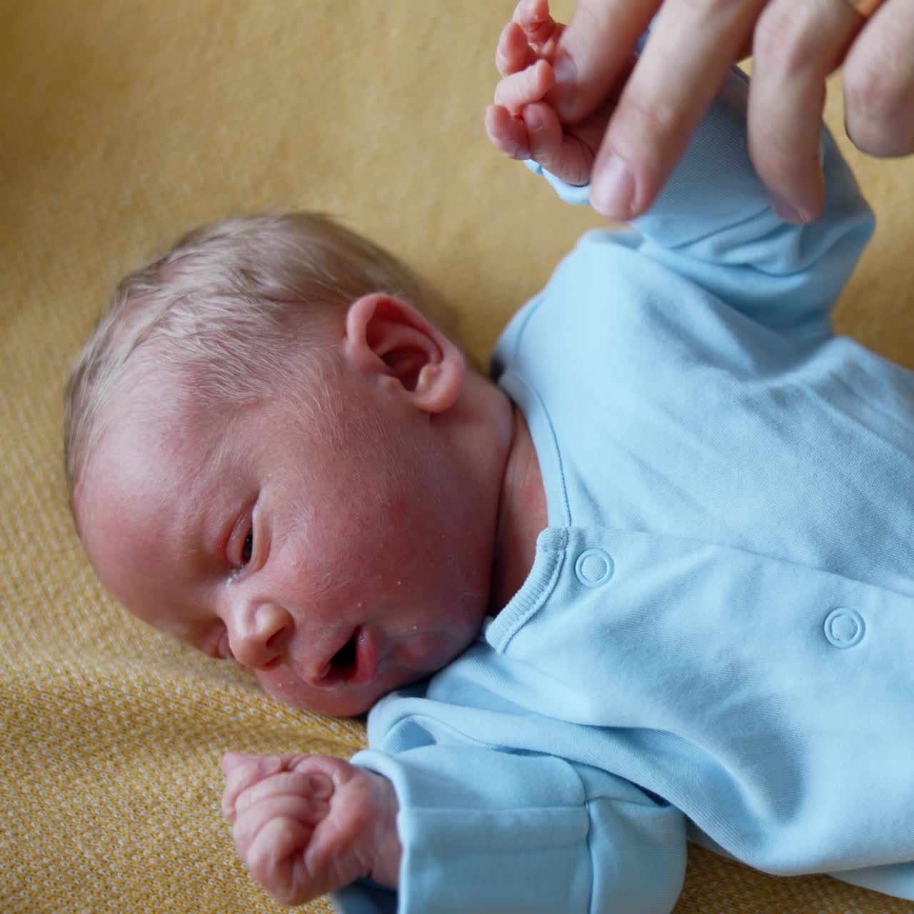 Newborn baby portrait. Little cute infant newborn child
