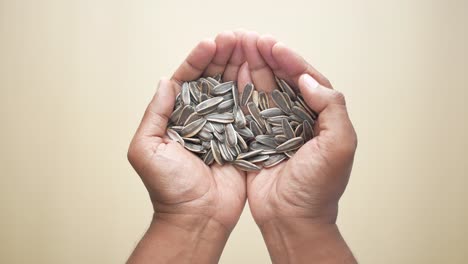 sunflower seeds in hands