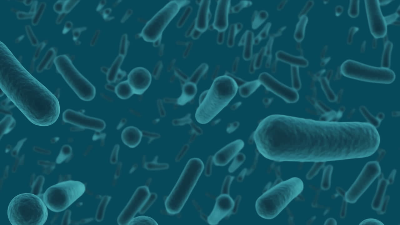 animación de células macro covid-19 flotando sobre un fondo azul.