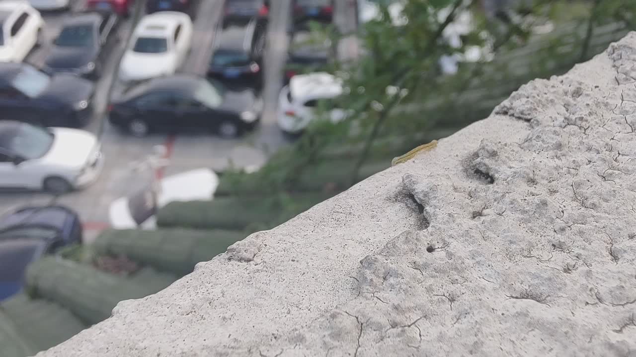 봄이 왔고, 곤충들이 나와서 돌아다니기 시작했습니다.