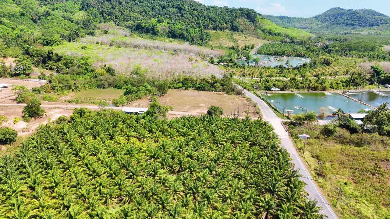 드론 영상은 태국 푸켓의 울창한  농장과 수산업 연못을 포착하여 활기찬 초록색과 조용한 풍경을 보여줍니다.