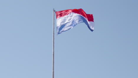 paraguayan flag waving