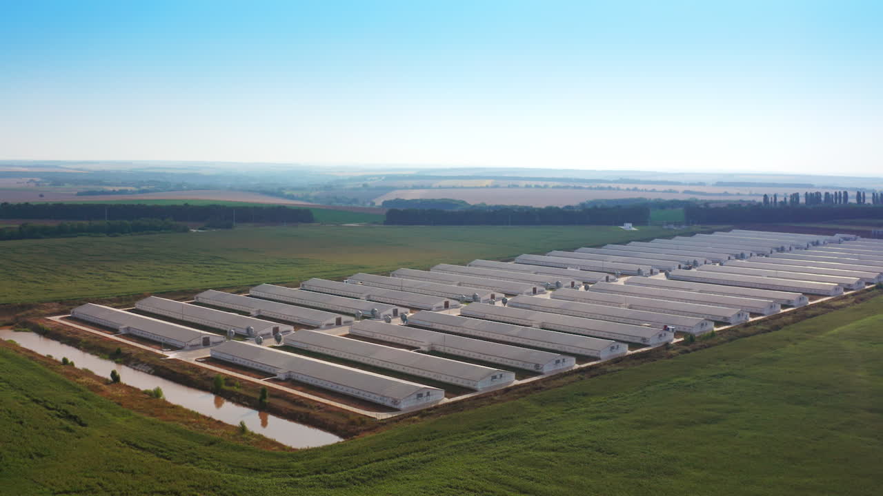 Large-Scale Poultry Farm Aerial View