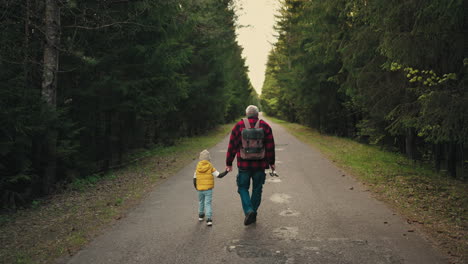grandpa and child boy are walking together on road across pinery in morning or evening
