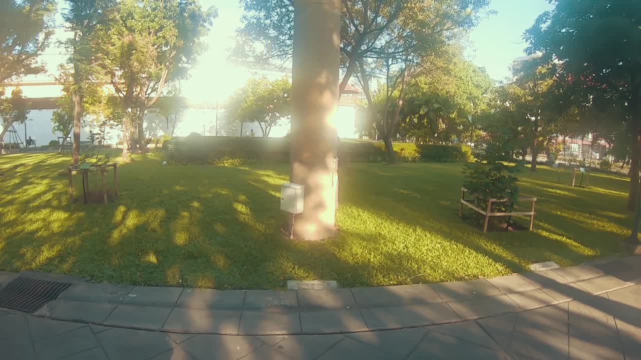 공원에서 동물을 보고