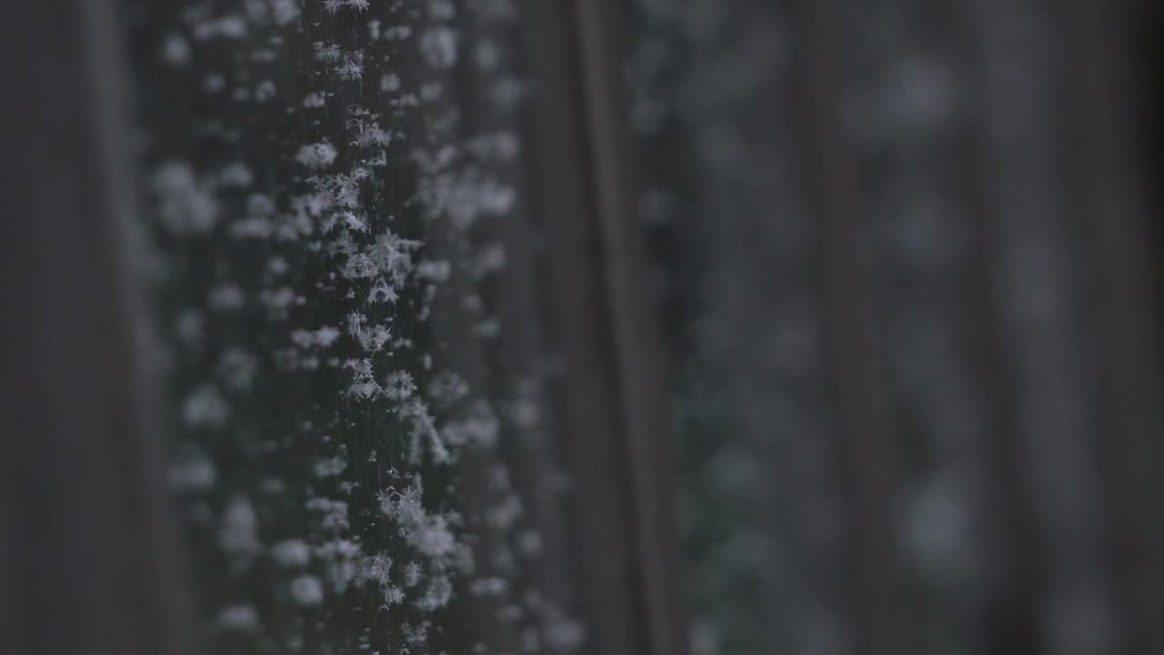 온실 유리에 서리