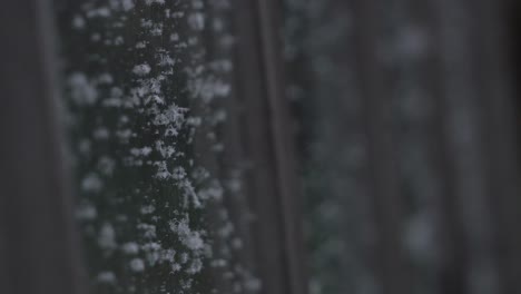 escarcha en vidrio de invernadero