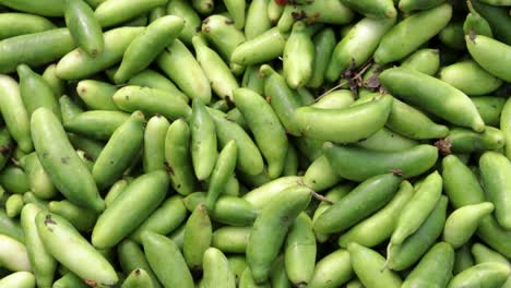 fresh-organic-Coccinia-grandis-from-farm-close-up-from-different-angle