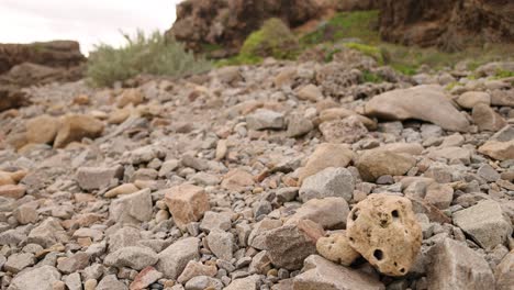 rocky coastal terrain with plants and erosion