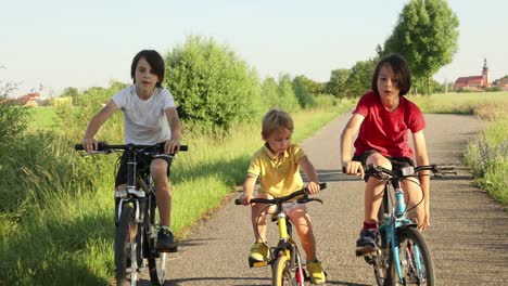 niños lindos y felices, hermanos, montando bicicletas en el parque en un soleado día de verano, hablando y riendo