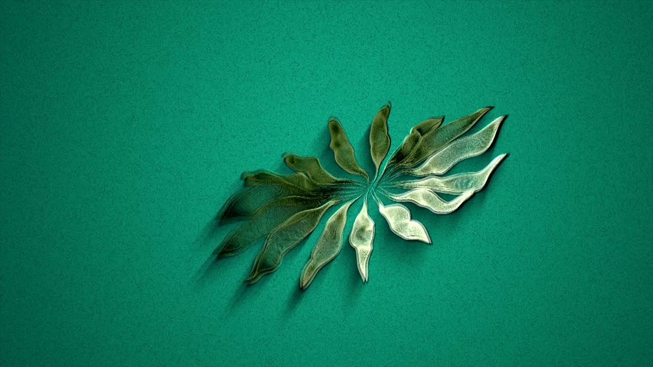 fondo abstracto forma orgánica segmentada giratoria