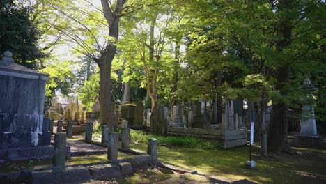 cementerio japonés en el santuario gotoku-ji, cálida escena de otoño, tokio 4k