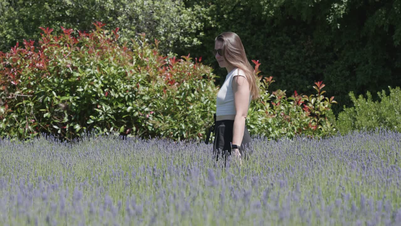 Young caucasian woman in sunglasses walking in between lavender plants on a sunny summer day.