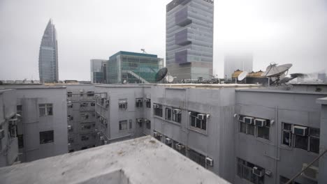 pigeon taking flight on a rooftop