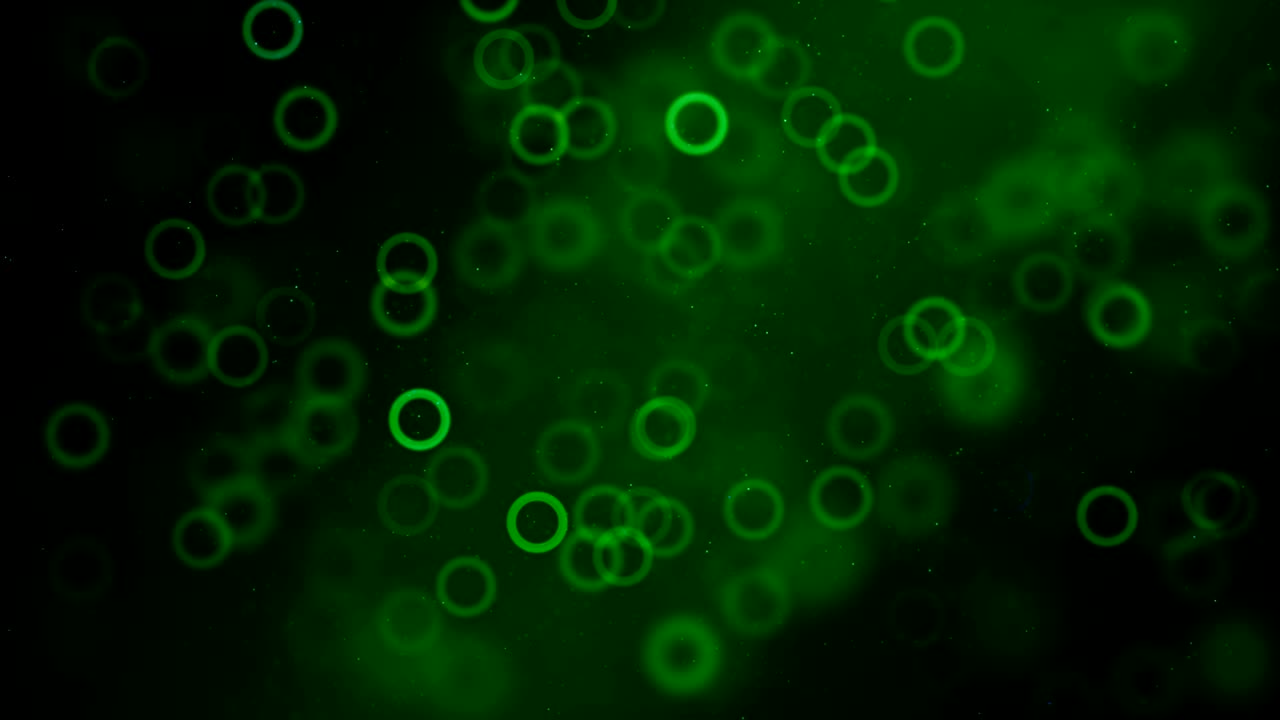 4k Circle particle Background Animation - Loop stock video