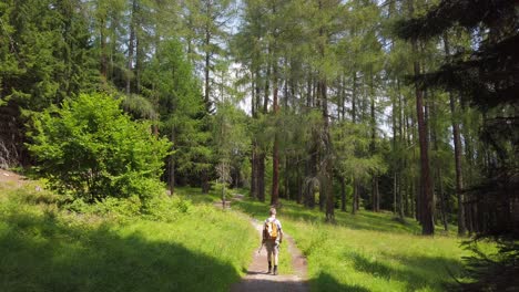 Hombre-Con-Mochila-Caminando-Por-Un-Sendero-A-Través-De-Un-Bosque-De-Alerces-En-Tirol,-Austria