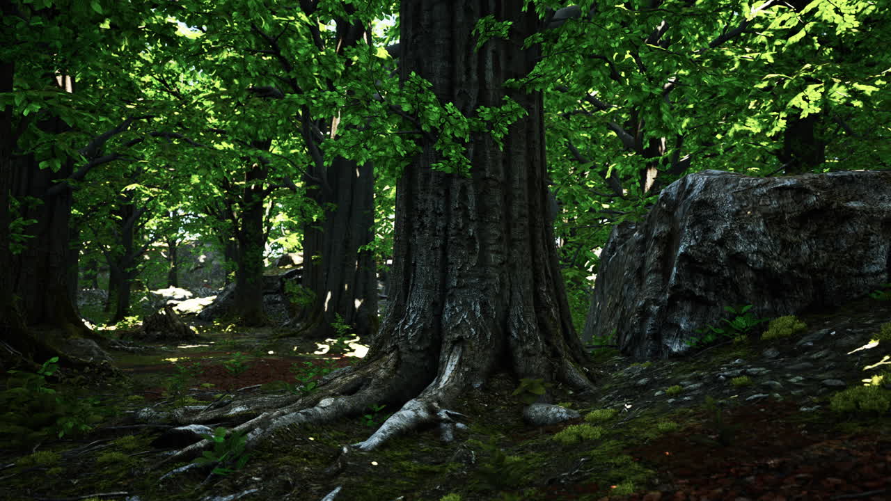 bosque tropical asiático con musgo