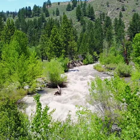 Luftaufnahme-über-Einen-Reißenden-Walker-River-In-Den-Sierra-Nevada-Bergen-Von-Kalifornien