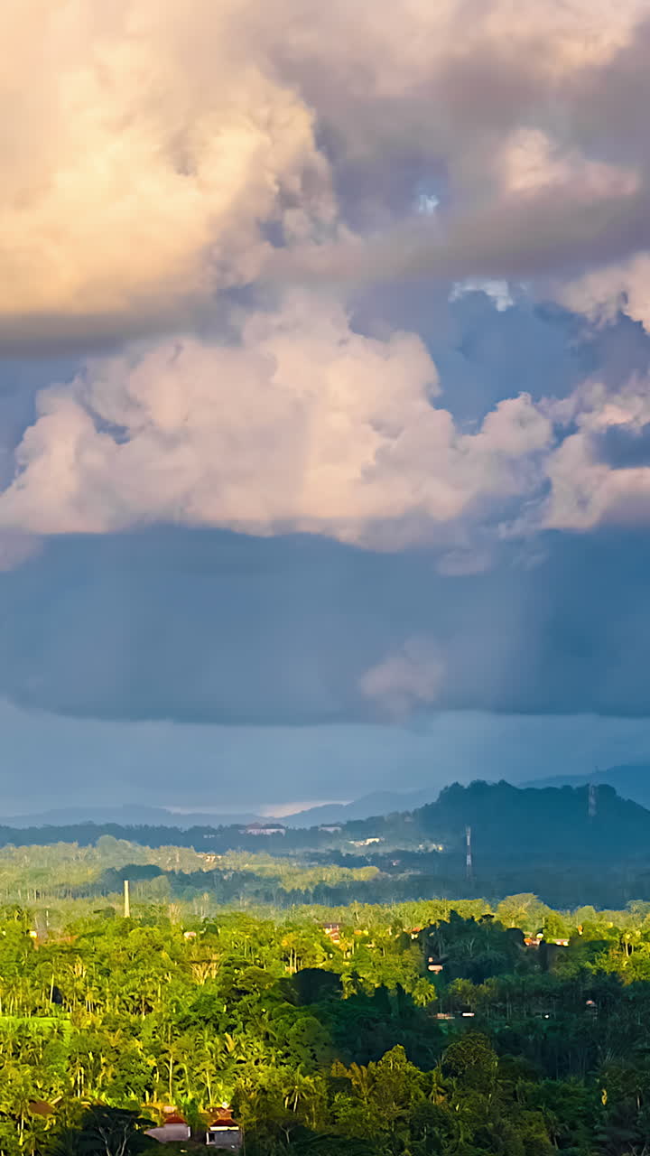 Clouds roll over a forest of palm trees in a vertical time lapse shot