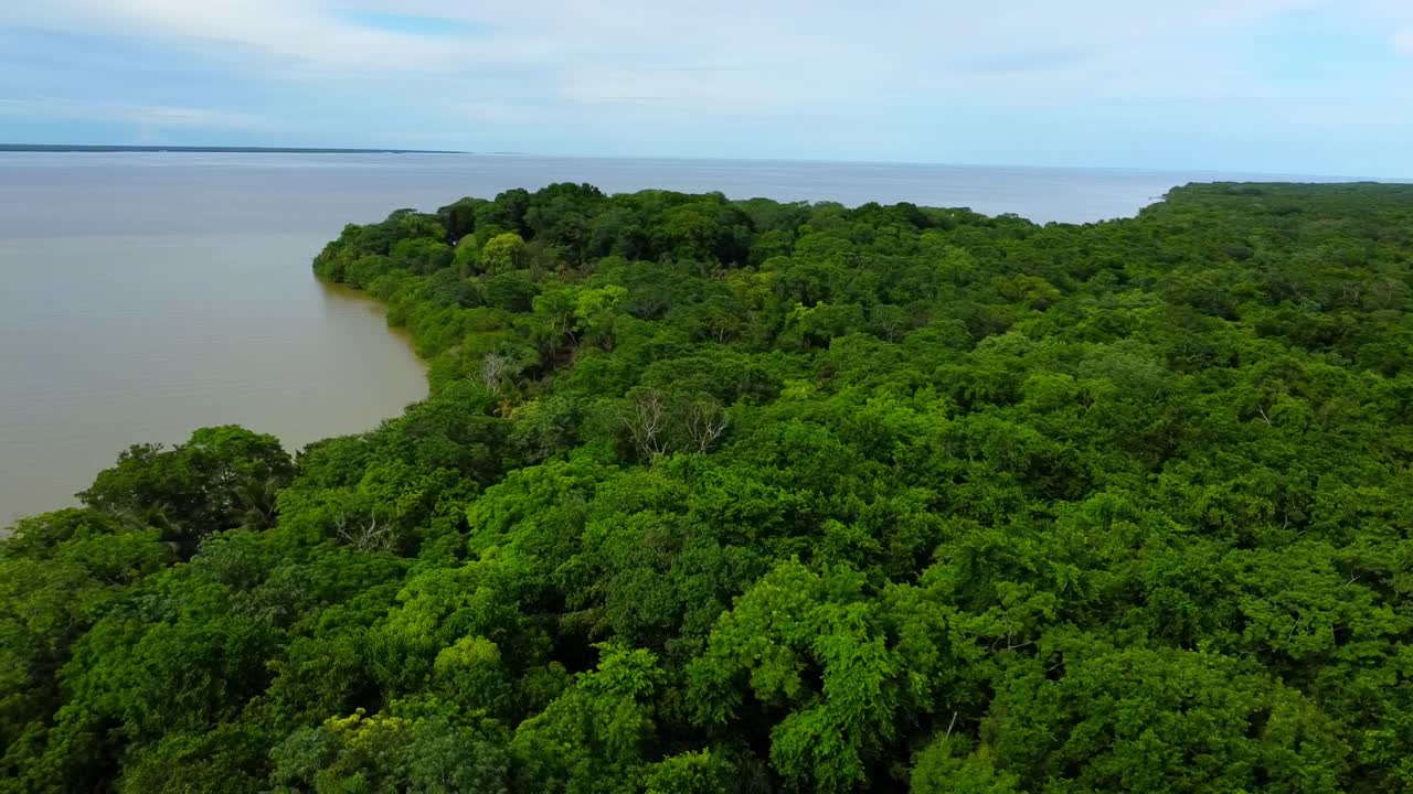 High drone view of the amazing lonely jungle in Belize